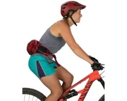 Osprey Seral 4 Lumbar Pack (Green) (w/ Reservoir) -Two Wheel Haven 10003211 5