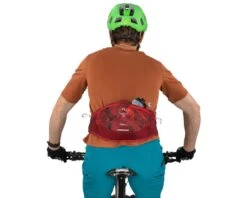 Osprey Savu 2 Lumbar Pack (Red) -Two Wheel Haven 10003214 6