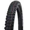 Schwalbe Magic Mary Tubeless Tire (Black) (27.5" / 584 ISO) (2.4") (Folding) (Addix Soft/Super Trail)