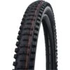 Schwalbe Big Betty Tubeless Mountain Tire (Black) (27.5" / 584 ISO) (2.6") (Folding) (Addix Soft/Super Gravity) (Evolution Line)