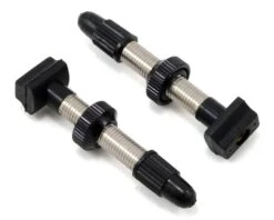 Giant Tubeless Valve Stems (Pair) (32mm)