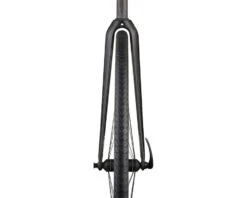 Ritchey WCS Carbon Road Fork (Matte Carbon) (1-1/8") (46mm Rake) (2020) -Two Wheel Haven 34356117005 2