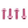 Wolf Tooth Components Aluminum Bottle Cage Bolts (Pink) (4-Pack)