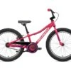 Specialized Riprock Coaster 20 (Rainbow Flake Pink / White)
