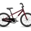 Batch Bicycles 20" Kids Bike (Gloss Deep Orchid)
