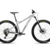 Orbea Laufey H30 Hardtail Mountain Bike (Raw Aluminum) (M) (2022)
