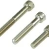 Wheels Manufacturing M5 X 25mm Socket Head Cap Screw Stainless Steel Bottle/25