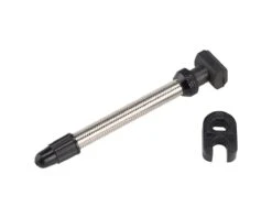 Dt-swiss DT Swiss Tubeless Road Valve (Silver) (1) (53mm)