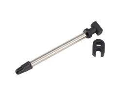 Dt-swiss DT Swiss Tubeless Road Valve (Silver) (1) (73mm)