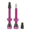 Tubolight Tubeless Valves (Purple) (Presta) (Insert Compatible) (50mm)
