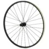Quality Wheels Value Series Disc Brake Rear Wheel (Black) (Shimano/SRAM) (12 X 142mm) (700c / 622 ISO) (Centerlock) (Tubeless)