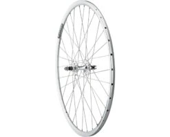 Quality Wheels Value Double Wall Series Track Rear Wheel (Silver) (Freewheel) (10 X 120mm) (700c / 622 ISO) (Sealed) (Flip-Flop Hub)