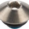 Shimano Alfine SG-S700 Oil Port Bolt (Silver)
