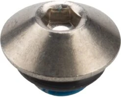 Shimano Alfine SG-S700 Oil Port Bolt (Silver)